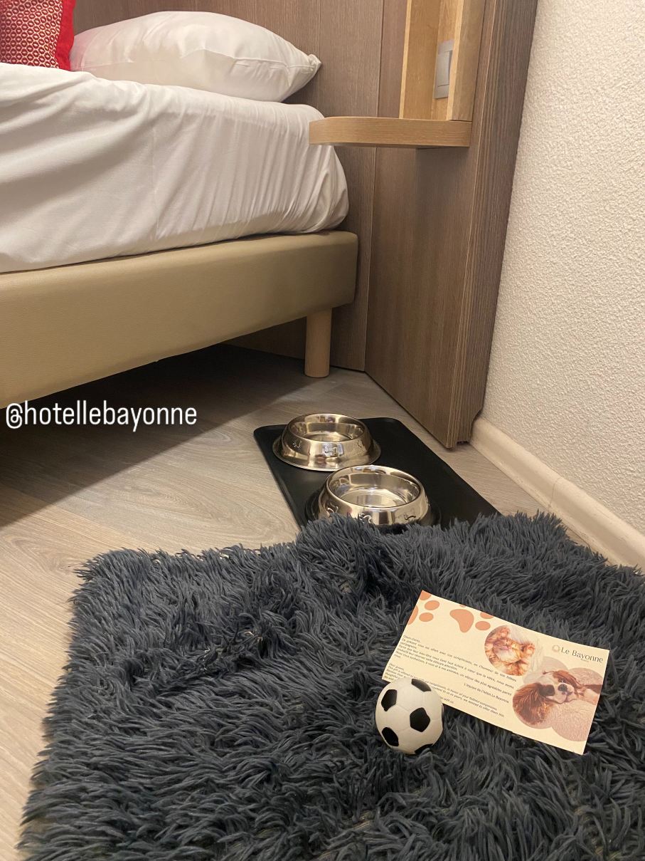 巴约讷酒店-旅行者