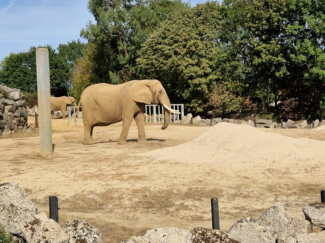 Colchester Zoo-科尔切斯特必去景点
