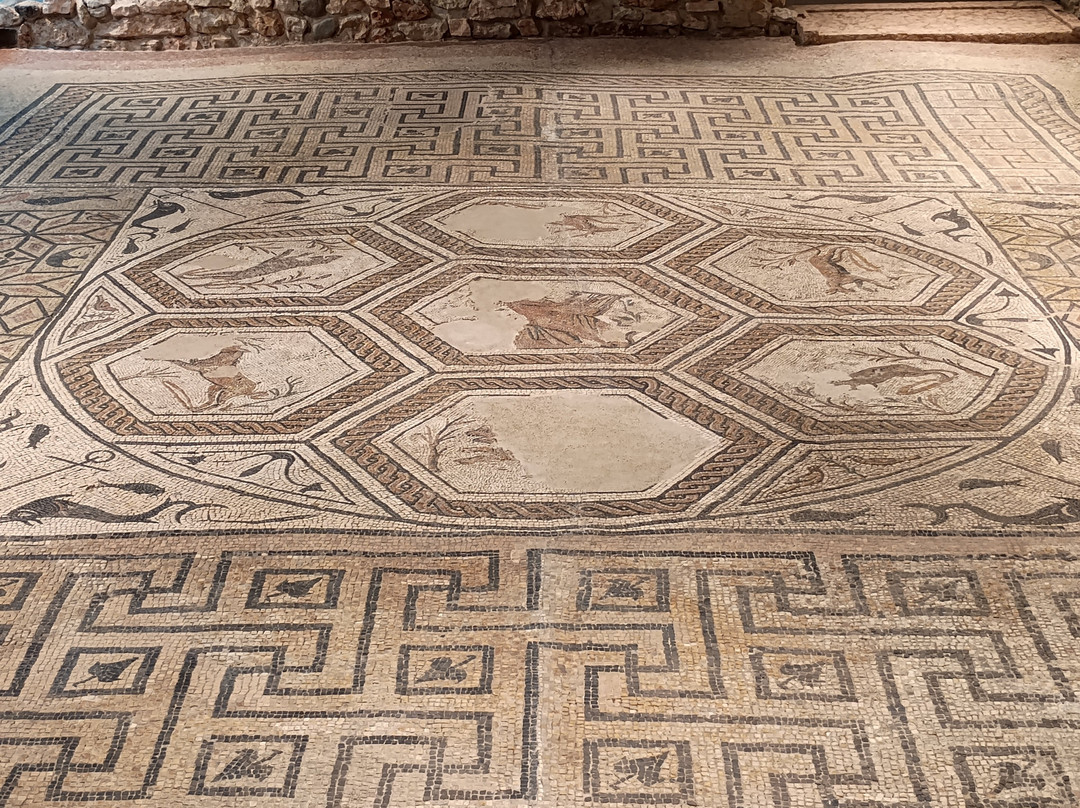 Spazio Archeologico Sotterraneo del Sas-特伦托必去景点