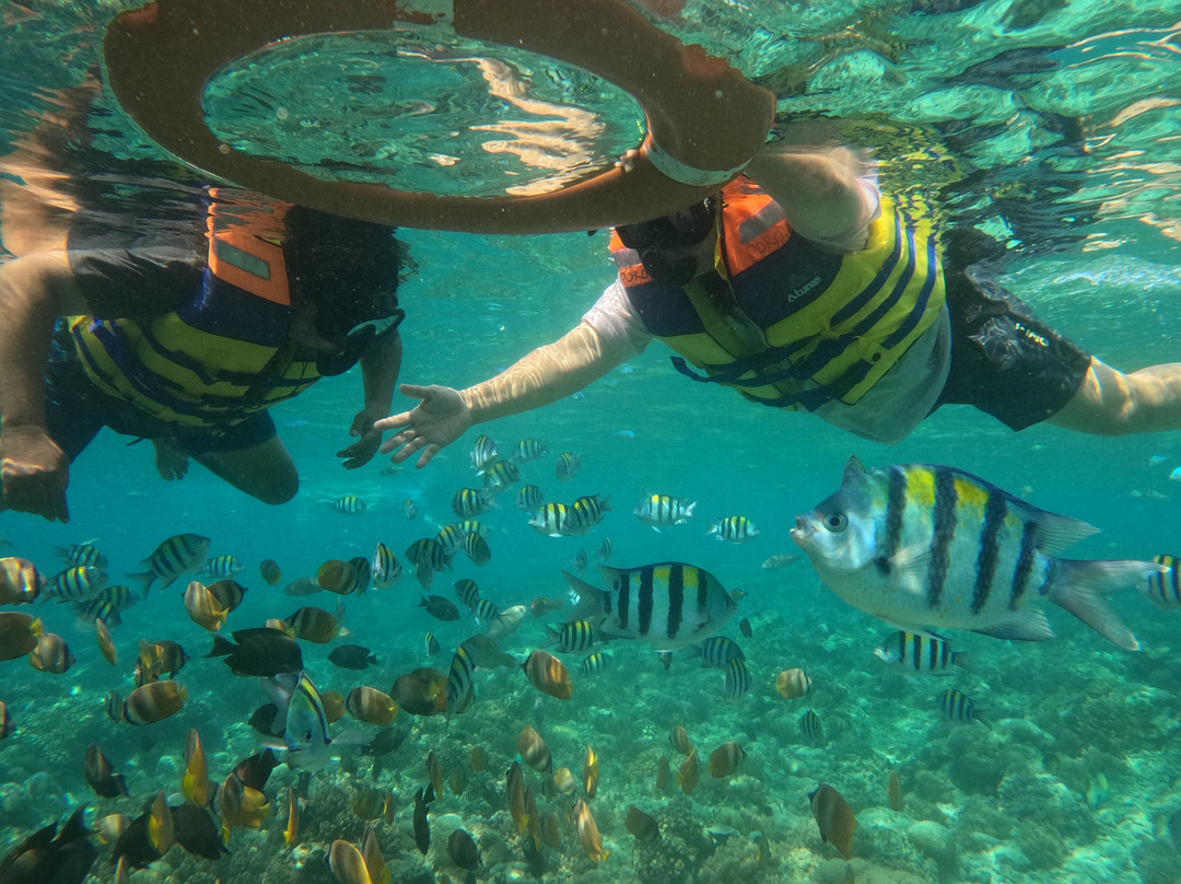 The Langkah Travel-Sumbawa Besar必去景点