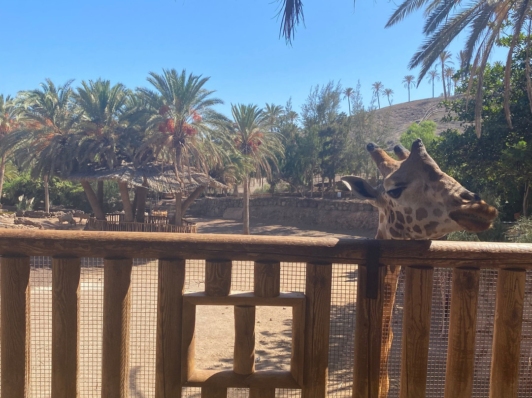 Oasis Park Fuerteventura-La Lajita必去景点