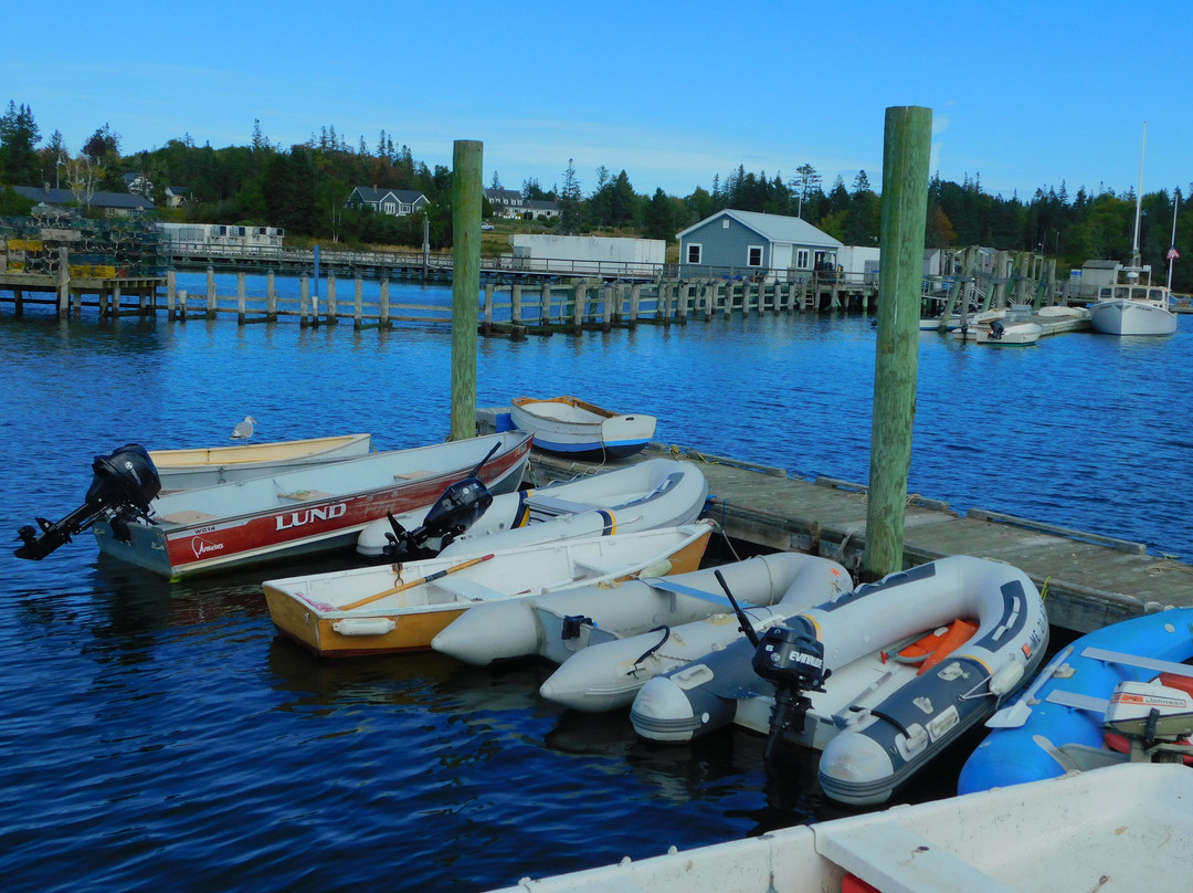 Richard Carver Harbor Park-Owls Head必去景点