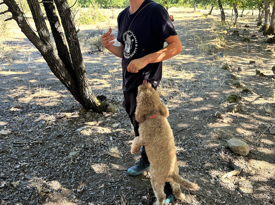 Truffle Hunting-卡兰巴卡必去景点