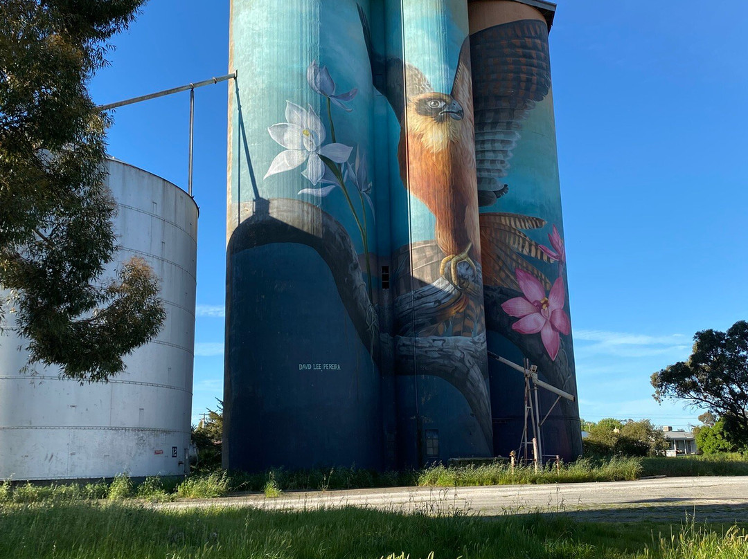 Kaniva Silo Art-Kaniva必去景点
