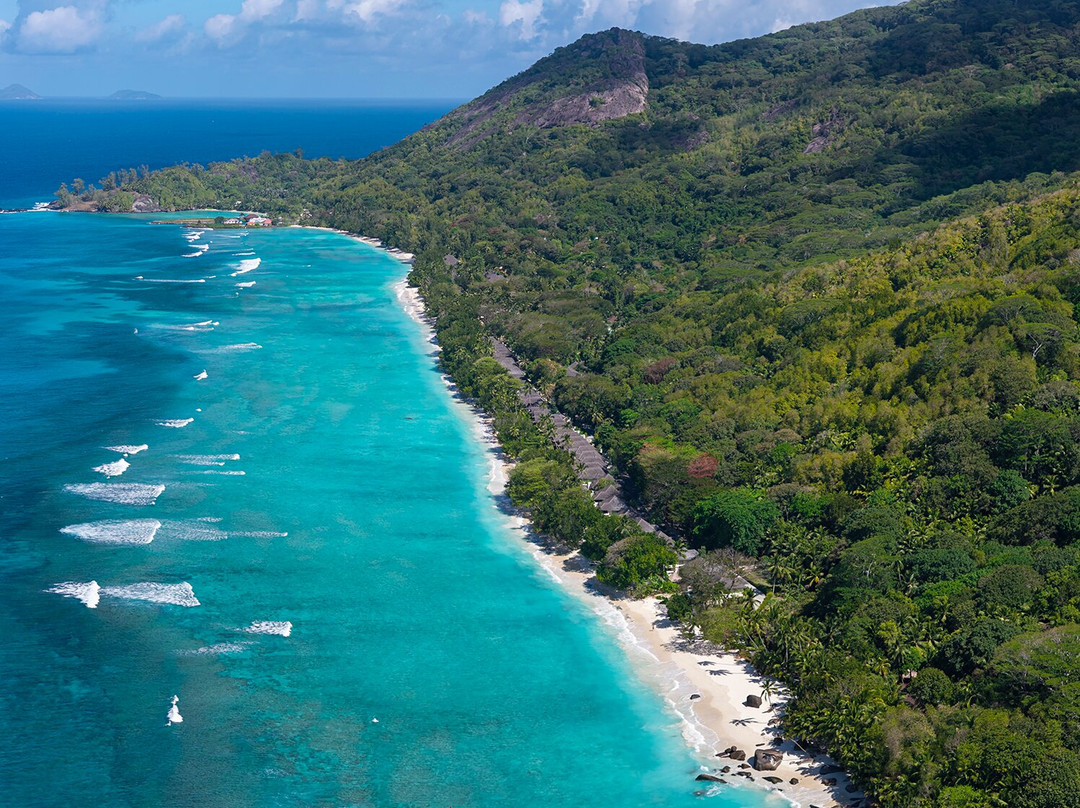 Niva Labriz Seychelles