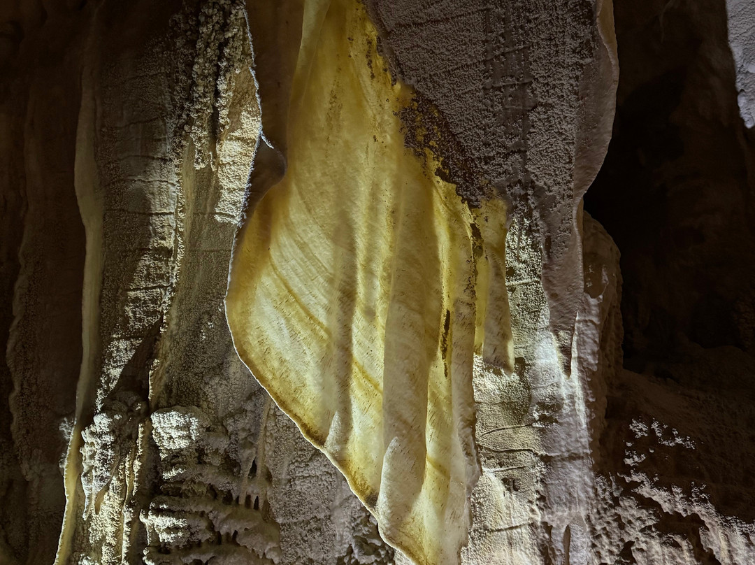 Ruakuri Cave-怀托摩洞穴必去景点