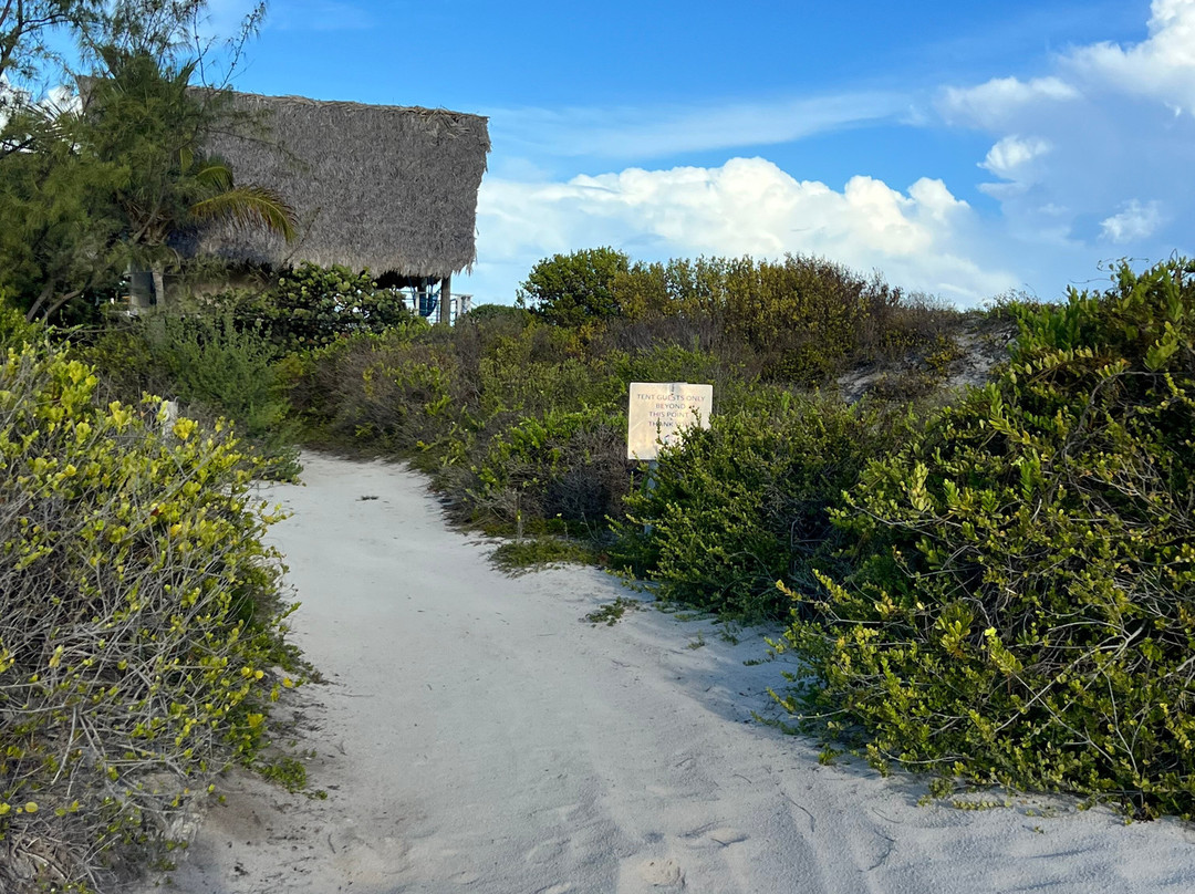 Anegada Beach Club主图