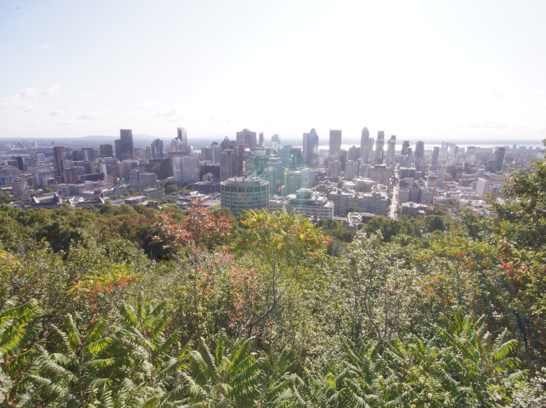 皇室山-蒙特利尔必去景点