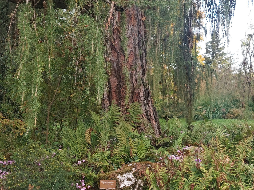 Jardin botanique de Genève-Pregny-Chambesy必去景点
