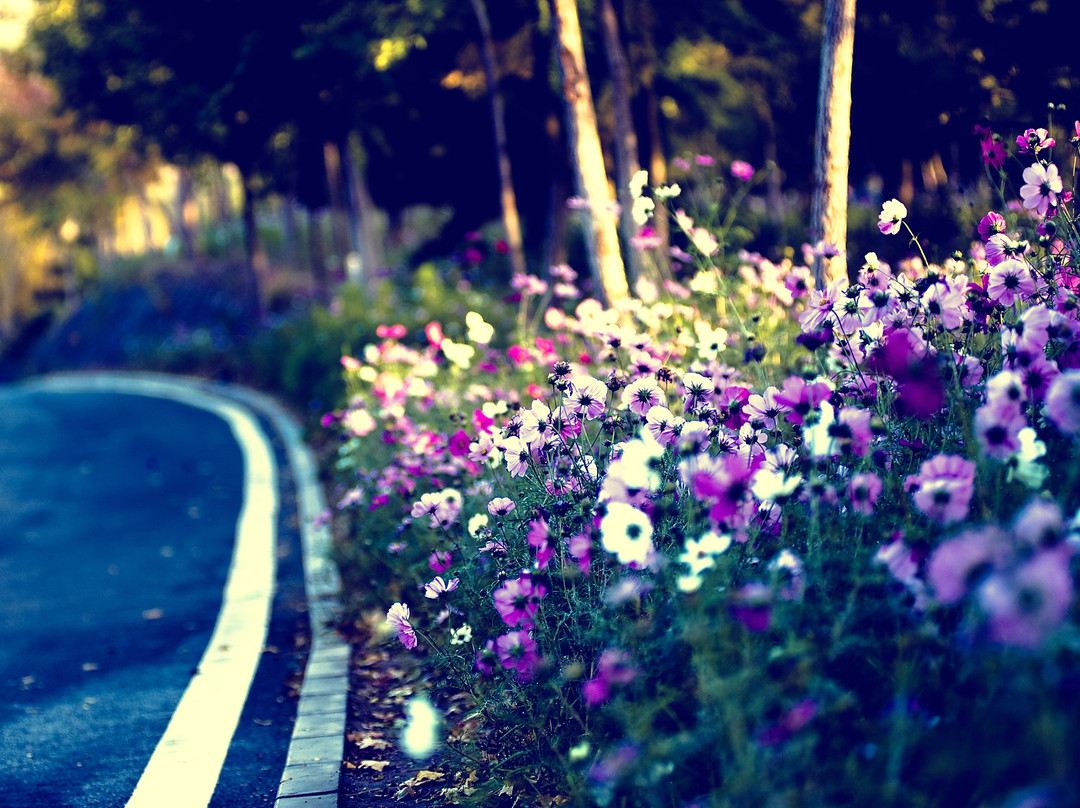 北宫国家森林公园-北京市必去景点