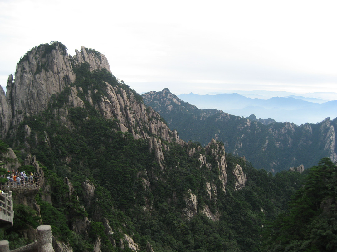 黄山植物大观园