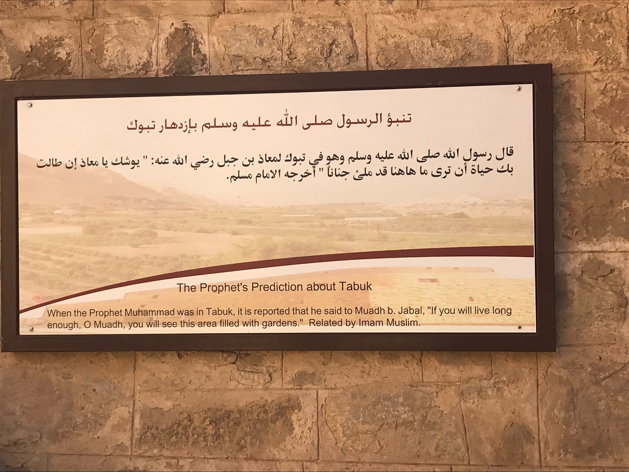 Dream Homes Hotel Suites-官方