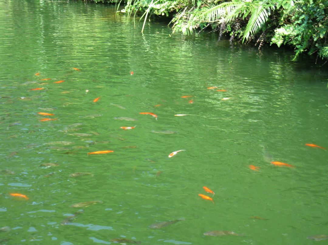 火山口森林公园-琼海市必去景点