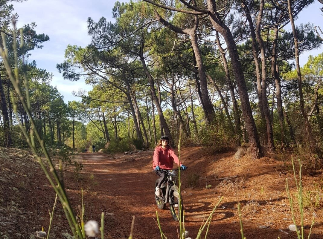 Evolution 2 Lacanau-Lacanau-Ocean必去景点