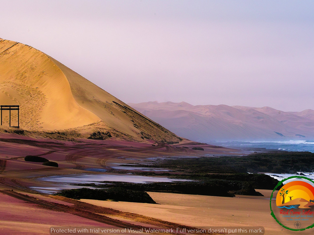 Red Dune Safaris-华维斯湾必去景点