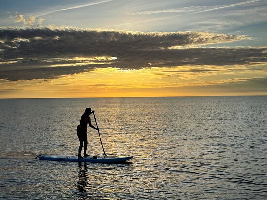 Amelia Island Paddle Surf Company景点图片