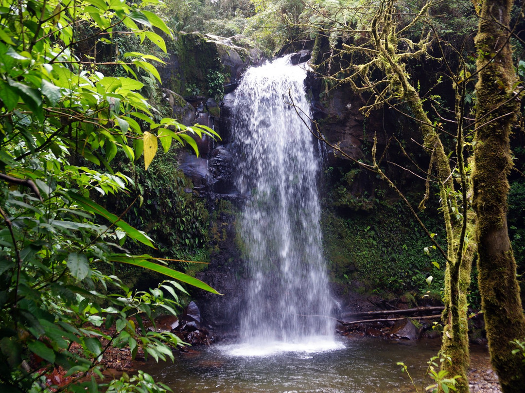The Lost Waterfalls-Boquete景点图片