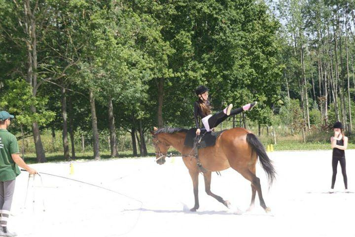 Centre Equestre Poney Club de Rambouillet景点图片