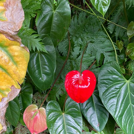 La Vallée Heureuse-Le Brule必去景点