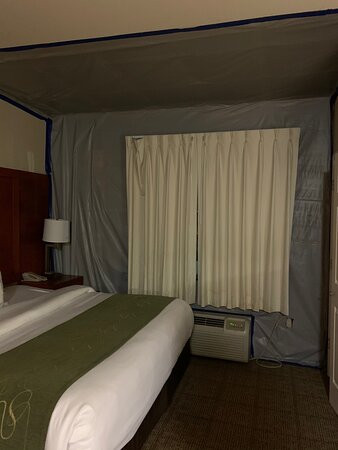 Comfort Suites主图