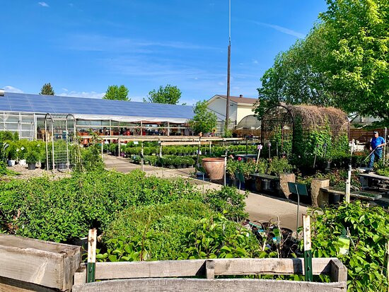 All Seasons Garden Center景点图片