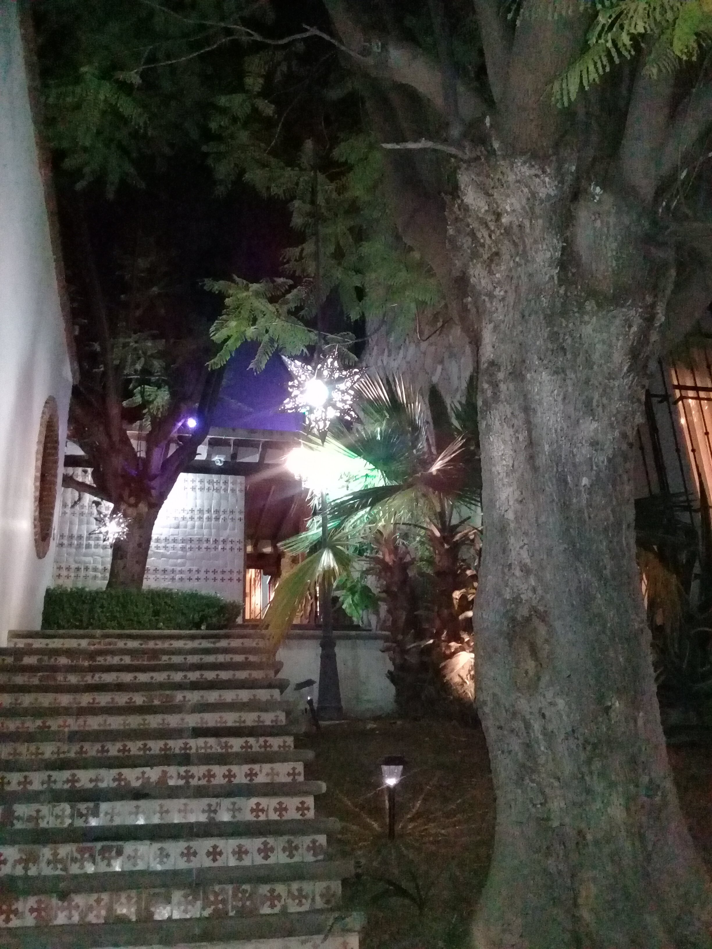 Hotel Frida's-官方