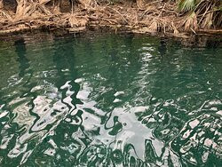 Elsey National Park-Mataranka必去景点