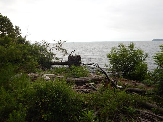 Occoquan Bay National Wildlife Refuge景点图片