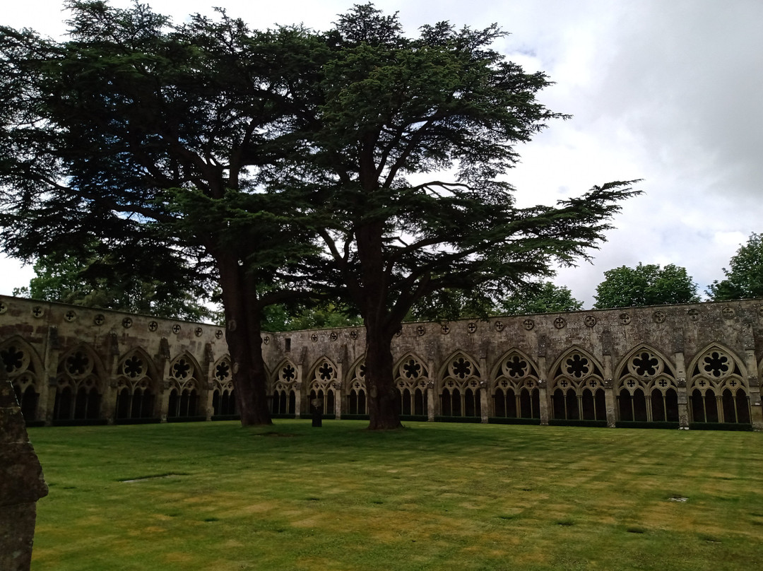 Salisbury Cathedral景点图片