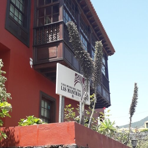 Casa Museo del Vino Las Manchas景点图片