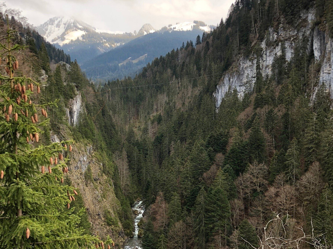 Col Des Mosses景点图片