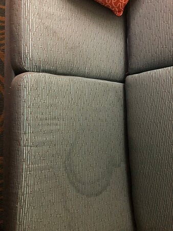 SpringHill Suites Morgantown主图