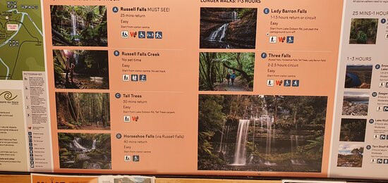 Mount Field National Park Visitor Centre-Westerway必去景点