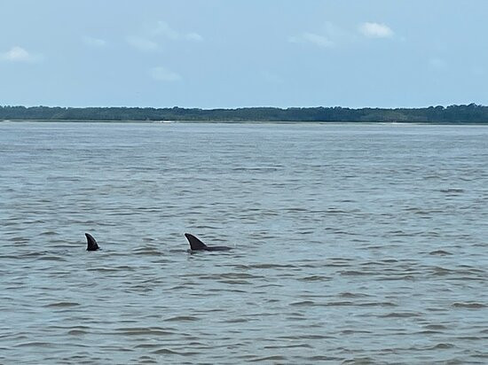 Captain Jack's Kiawah Sailing and Dolphin Watching景点图片