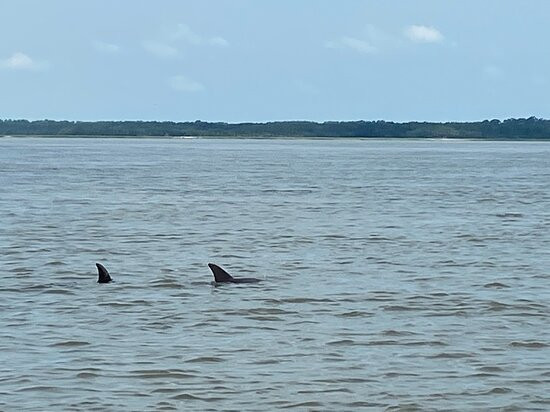 Captain Jack's Kiawah Sailing and Dolphin Watching景点图片