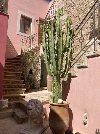 Casa dell' Aristea主图