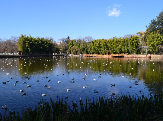 Morning Wood Hotel主图