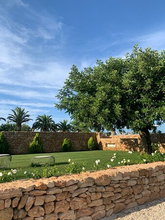 Safragell Ibiza Suites & Spa主图