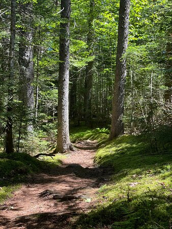 Highland Lodge主图