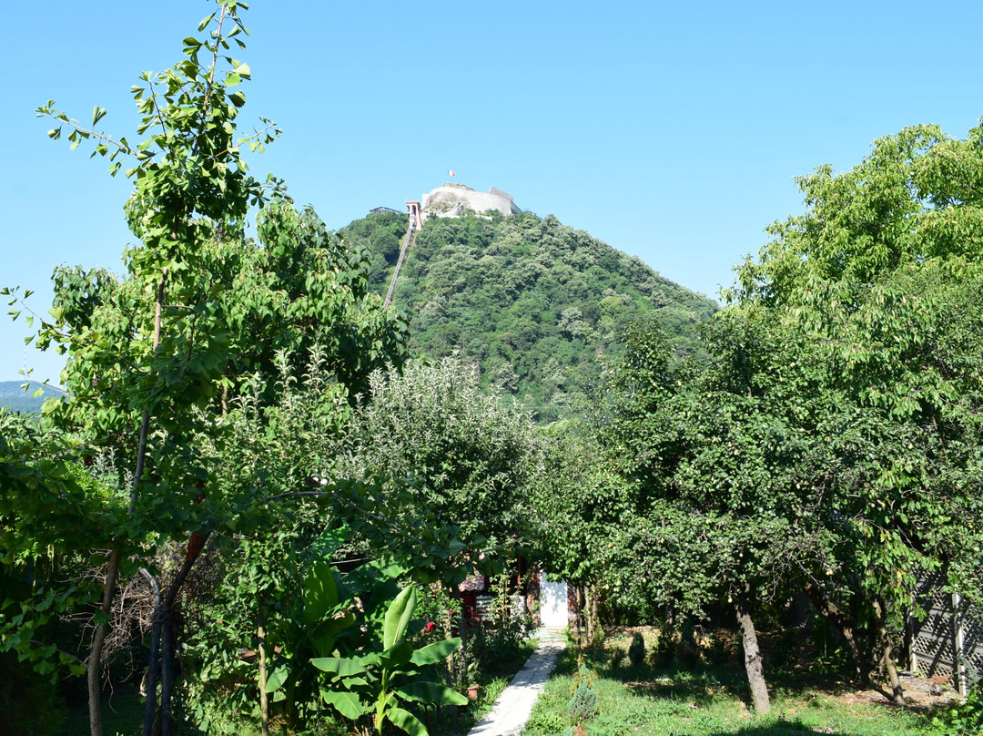Casa Horea
