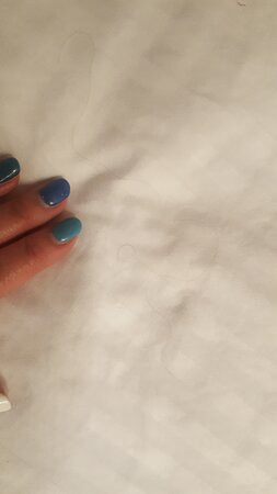 埃尔多拉多旅馆主图