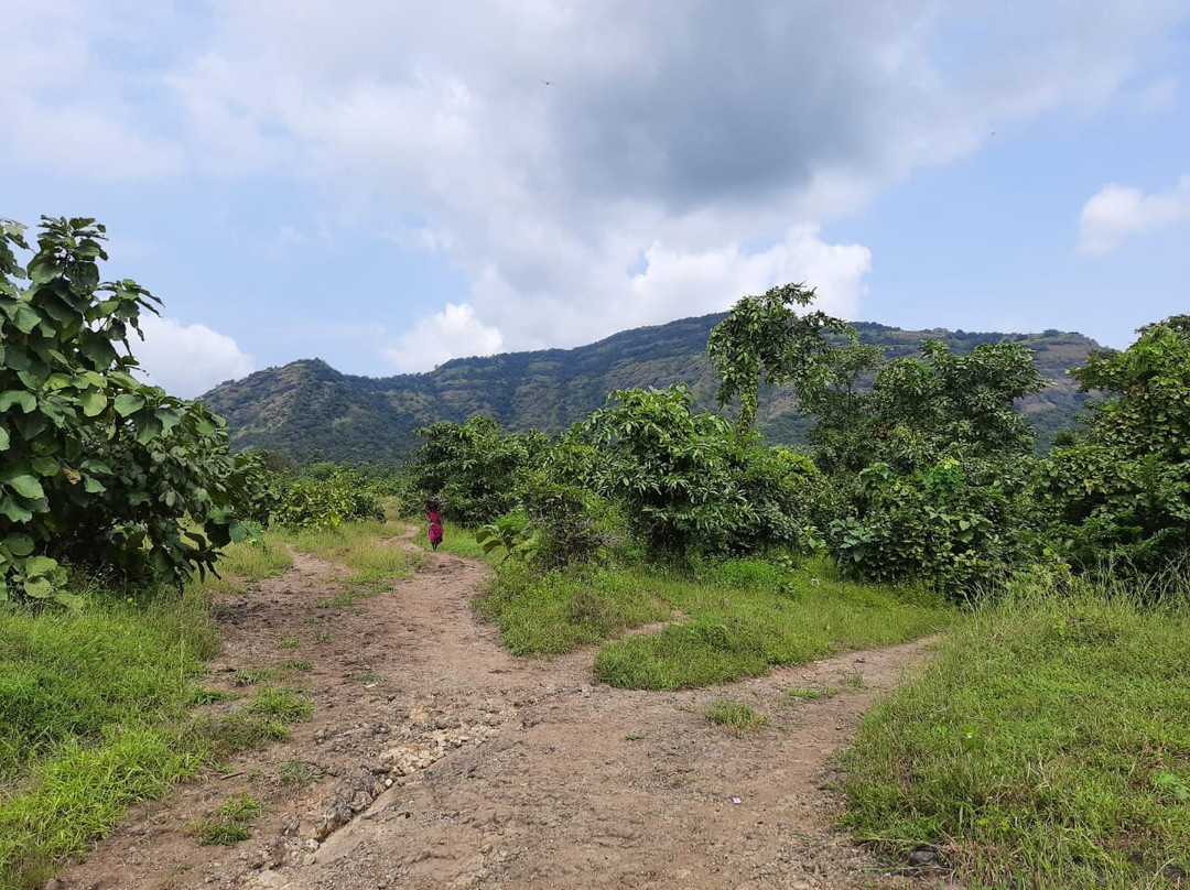 Jack & Hill Adventures-孟买必去景点