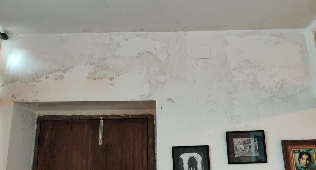 The Rajbari Bawali主图