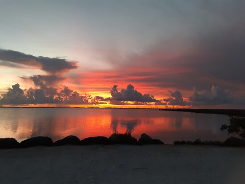 Key West Jet Ski Tours & Rentals-基韦斯特必去景点