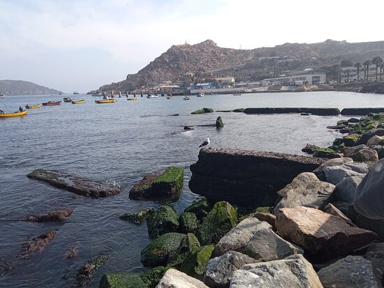 Caleta De Guayacán-Coquimbo必去景点