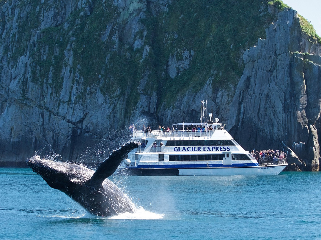基奈峡湾巡航之旅-苏厄德必去景点