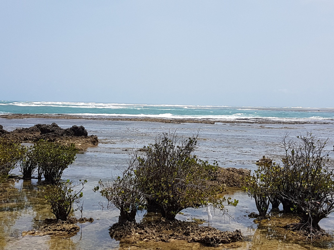 Binuangeun Beach-Muara必去景点