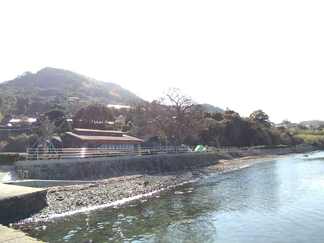 Shioisaki Park景点图片