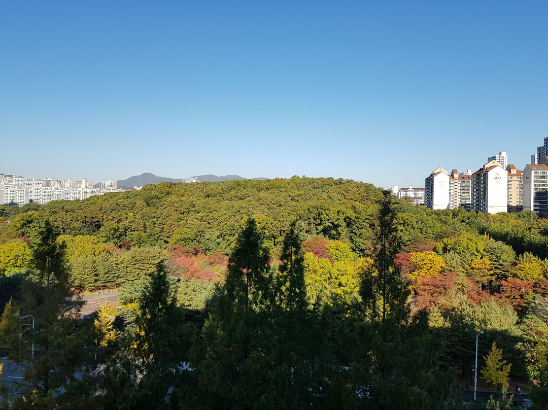 城南市旅游景点-Seongnam Jungang Park