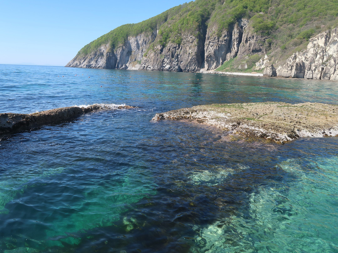 Sai-Hotokegaura Sightseeing Boat景点图片